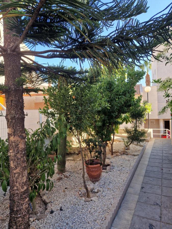 Magnifico Chalet Adosado En Torrevieja, Alicante. Εξωτερικό φωτογραφία